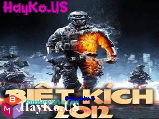 hayko.us